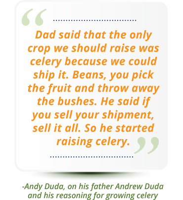 Dad said the the only crop we should raise was celery because we could ship it. Beans, you pick the fruit and throw away the bushes. He said if you sell your shipment, sell it all. So he started raising celery. - Andy Duda, on his father Andrew Duda and his reasoning for growing celery