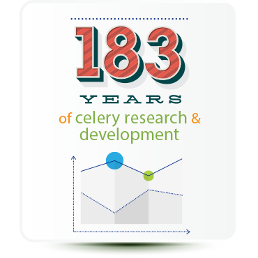 183 years of celery research and development