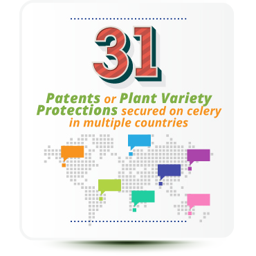 31 patents of plant variety protections secured on celery in multiple countries